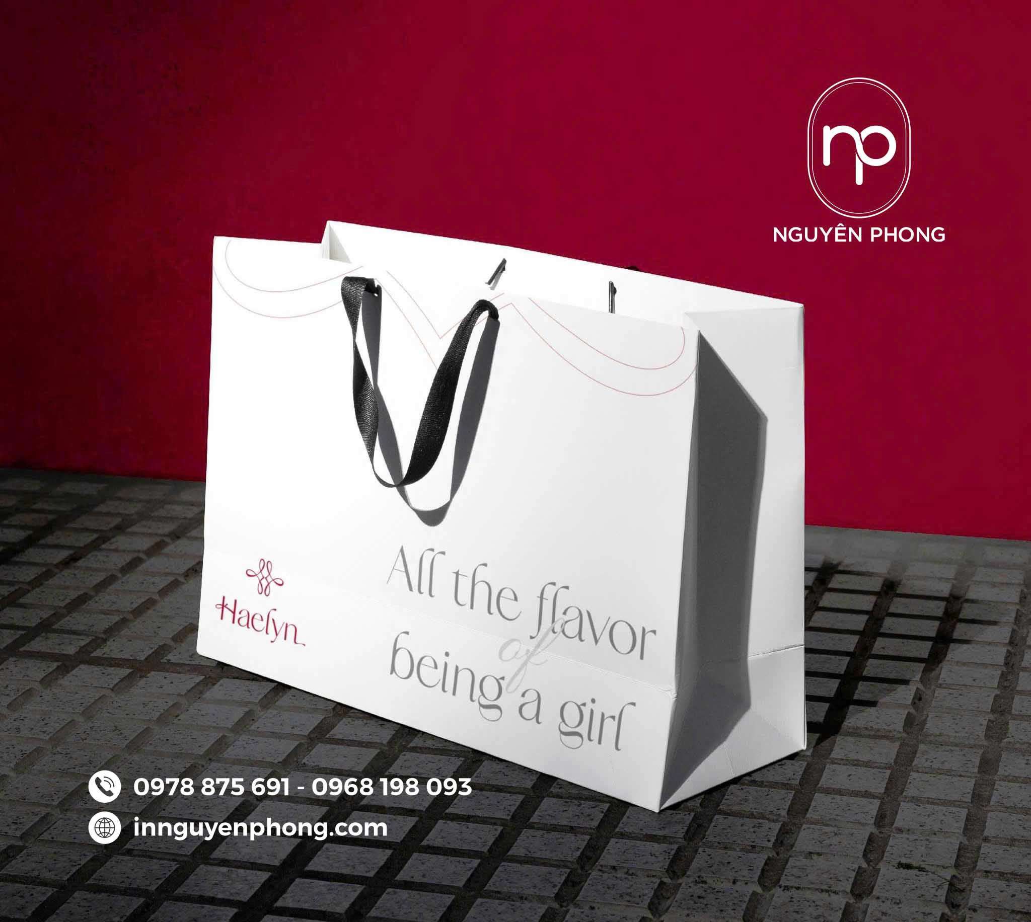 Mẫu túi giấy cao cấp 